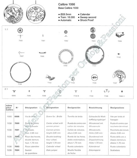calibri orologi rolex